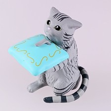 Chat en écaille de tortue -