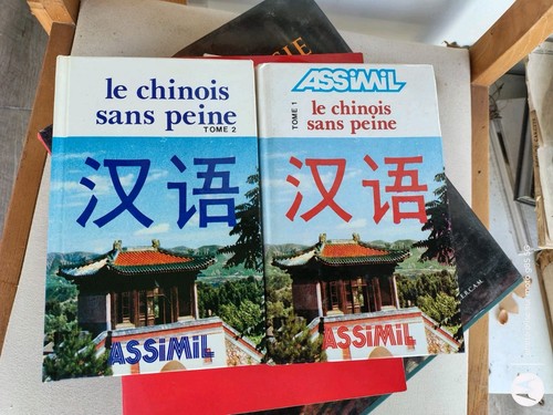 Chinois sans peine - le,