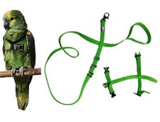 Bavoir Perroquets Élastique