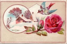 Lovely Colorful Bird Houe