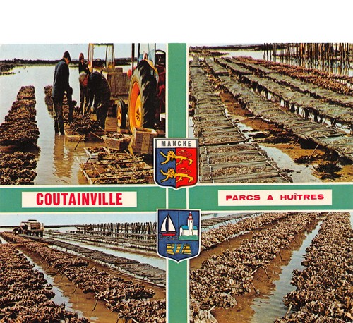 Gouville sur - 50-gouville,