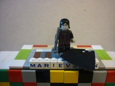 Lego HP012 Minifig Harry