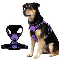 Harnais pour chien taille