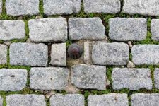 Pavés granit rose rectangle rue sol exterieur amenagement jardin terrasse TBE