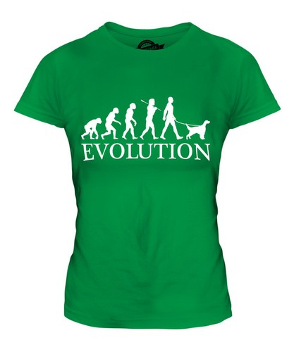 English setter evolution - evolution, of