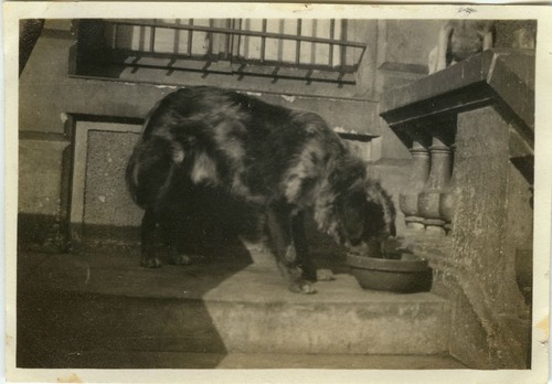 Photo ancienne vintage - ancienne,