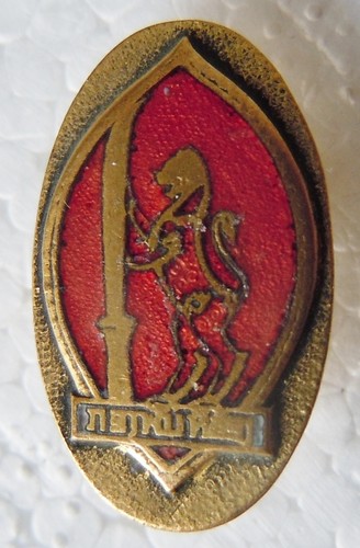 Insigne boutonnière indochine - insigne,