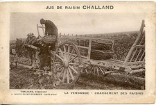 CP / NUITS SAINT GEORGES JUS DE RAISIN CHALLAND VENDANGE CHARGEMENT DE RAISINS