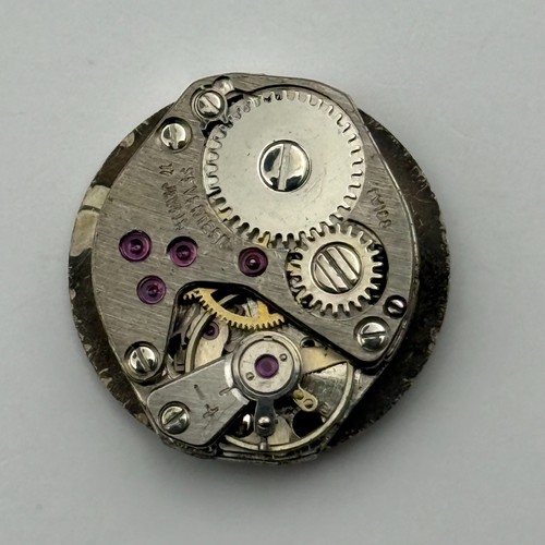 Fhf mouvement montre - mouvement,