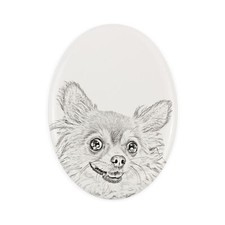 Chihuahua à poil long une