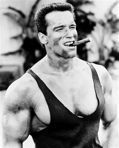 Arnold schwarzenegger john - arnold, as