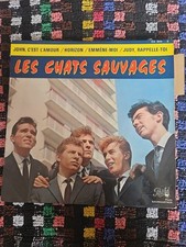 LES CHATS SAUVAGES AVEC MIKE