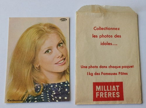 Catherine deneuve photo - deneuve,