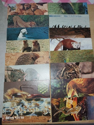 Cartes merveilles monde - cartes,