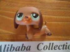 ** #1950 Chien Teckel Basset