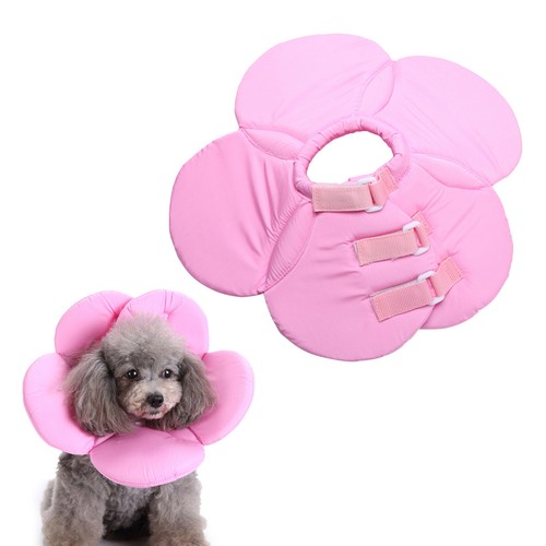 Collerette pour chien collier - collerette,