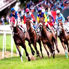 Méthode de TURF:  Maurice ROUSSET - BANCO OUTSIDERS Tiercés / Trios (Courses)