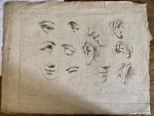 Rare gravure anatomique - gravure,