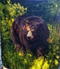 Bear Plush Blanket Throw 50x60