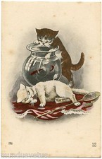 JOLIS  CHATS . PRETTY CATS . La pêche dans le bocal à poissons 