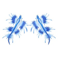  Lot de 2 figurines d'animaux marins simulés : limaces de mer miniatures -