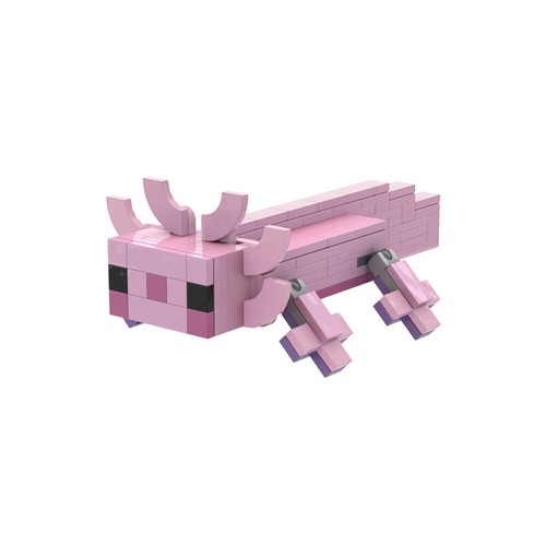 Axolotl animal model - axolotl,