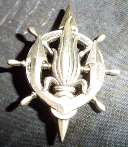 Insigne brevet nageur - insigne,