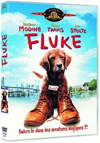 Fluke
