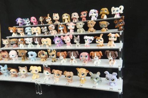 Lps nombreux chiens chiots - nombreux, chiens,