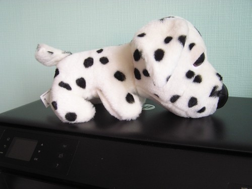 Peluche doudou chien - :,