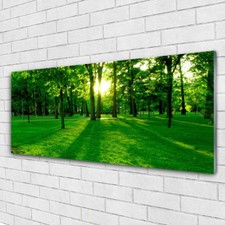 Impression sur verre acrylique Image tableau 125x50 Nature Forêt