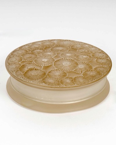 Boite marguerites verre blanc - marguerites,