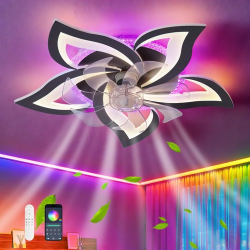 Plafonnier ventilateur - ventilateur, de