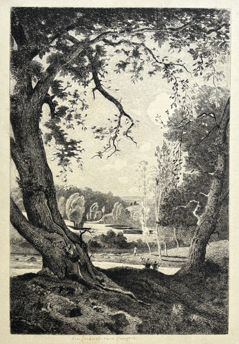 Vieux noyer gravure eau forte - noyer,