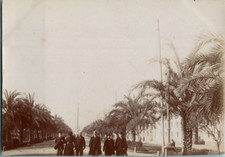 Espagne, Barcelone, Promenade des Palmiers, Vintage print, circa 1880 Tirage vin