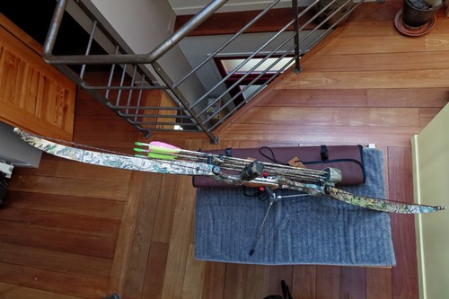 Arc chasse hoyt - chasse, "gamemaster