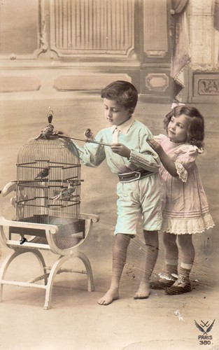 Bl059 carte photo vintage card - carte,
