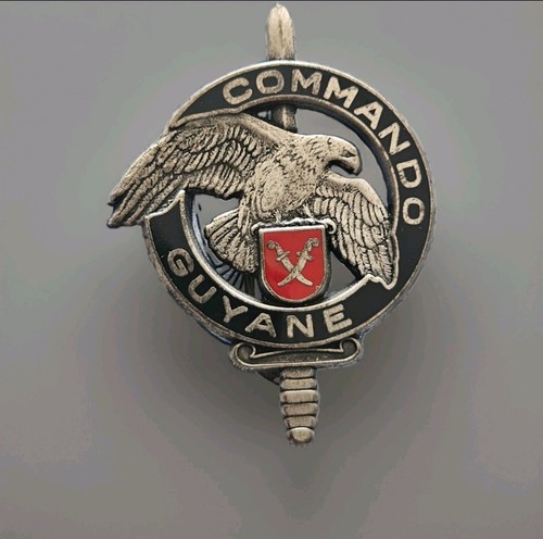 Insigne militaire badge armée - insigne,