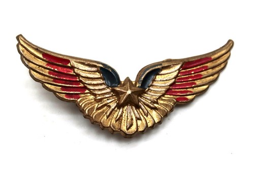 Insigne brevet pilote