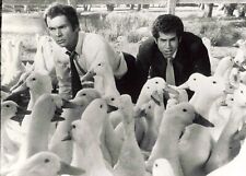 PHOTO PRESSE CINEMA TELEVISION RTBF LA CANE AUX OEUFS D'OR DEAN JONES T.ROBERT