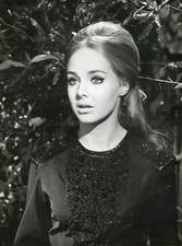 Karin mossberg vida - karin,