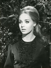 KARIN MOSSBERG LA VIDA NUEVA DE PEDRITO DE ANDIA 1965 PHOTO ORIGINAL