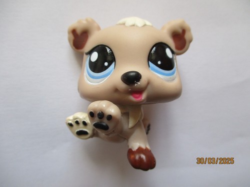 Petshop bebe ours - ours, n°1555
