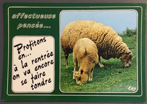 Carte postale humoristique - carte,
