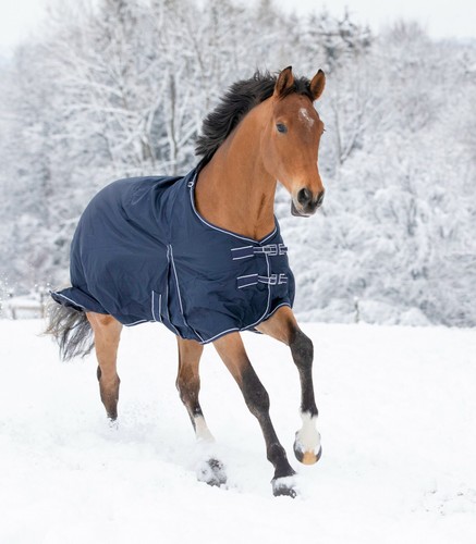 Waldhausen couverture cheval - couverture,
