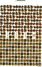 #Feuilles Chromos# Ef Miniature M 7294 Chats + Chiens Têtes, Seltener Courbé