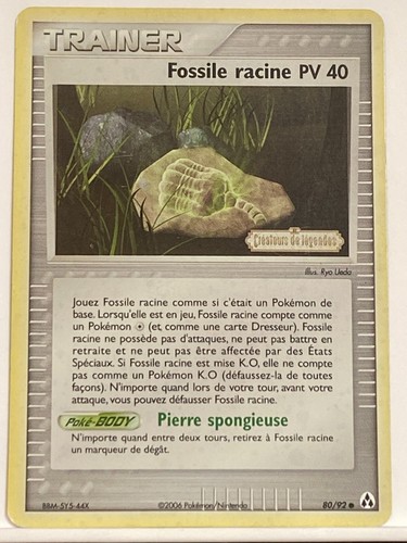 Fossile racine holo - racine, 80/92