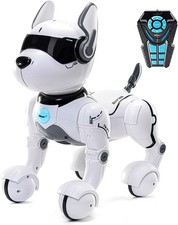 Top Race Jouet Chien Robot Télécommandé Programmable Et Interactif