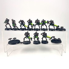 x13 Guerriers + Scarabés