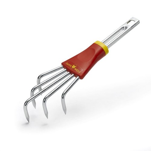 Petite griffe multi star - petite,